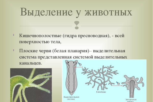 Что такое кракен в интернете