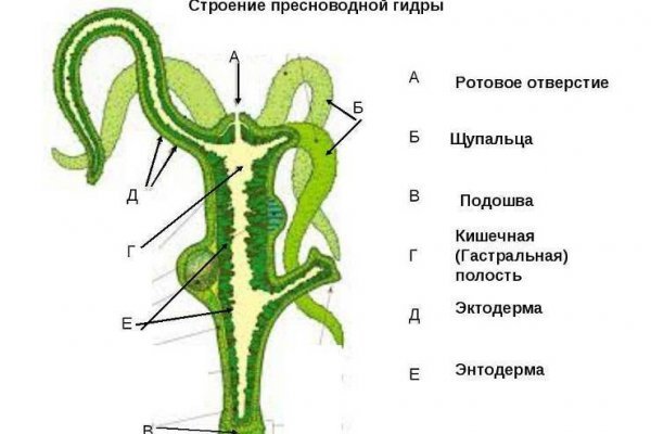 Ссылки зеркала на kraken