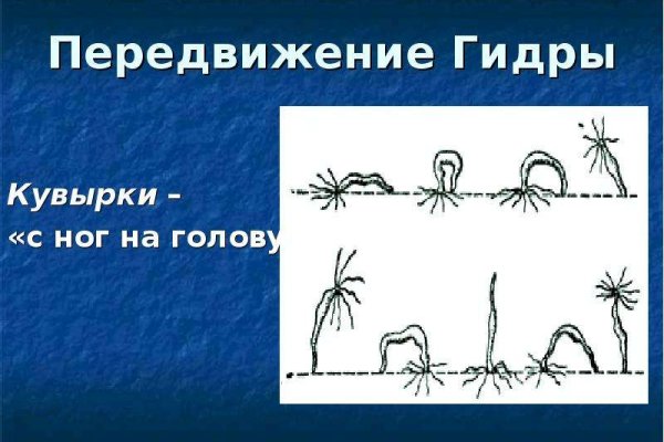 Kraken вход